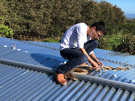 500 kW netzgebundene Solaranlage für landwirtschaftliche Betriebe